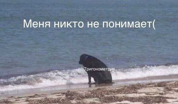 <p>
		*Математический юмор	</p>