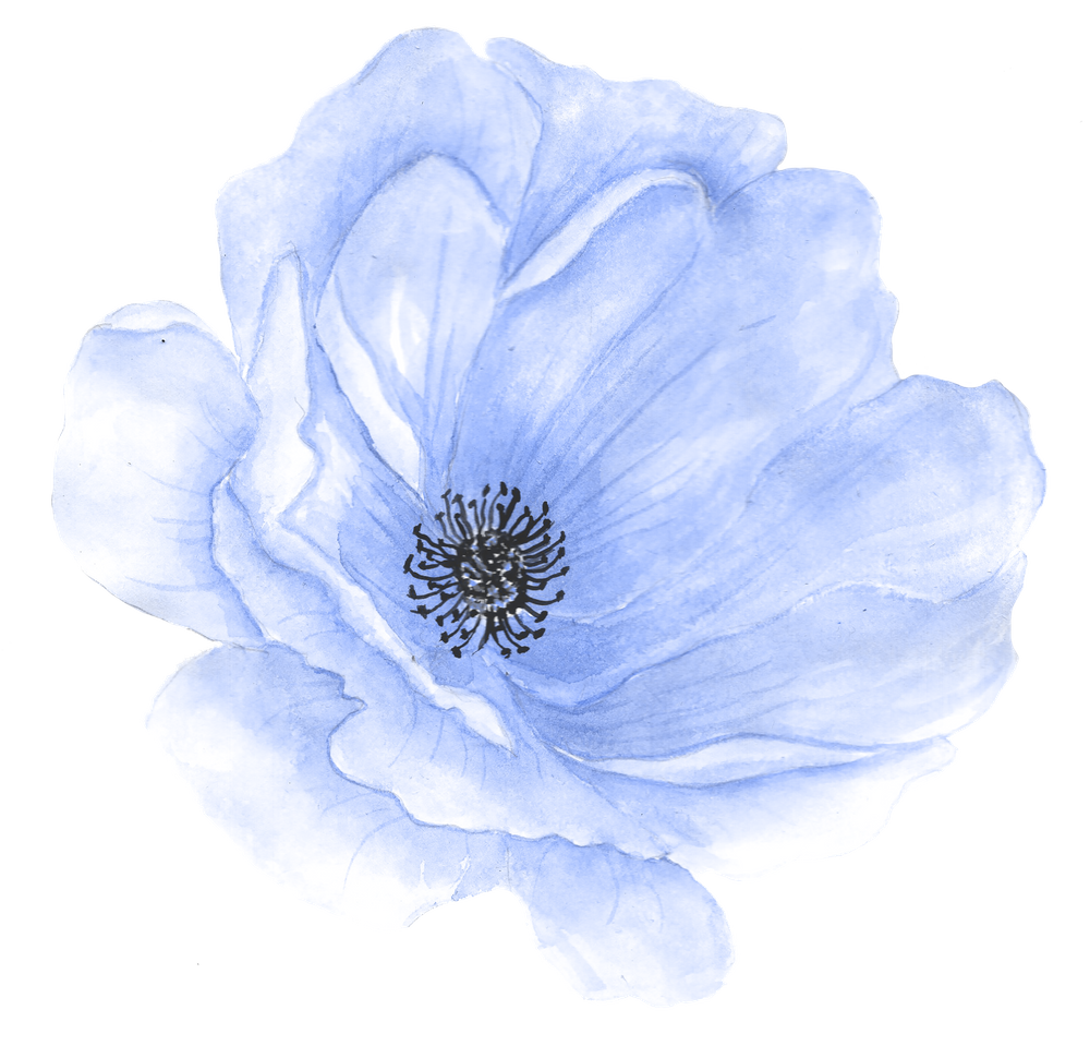 Акварельно прозрачный. Акварельные цветы. Прозрачные Акварельные цветы. Синие цветы акварель. Цветы Аквель.