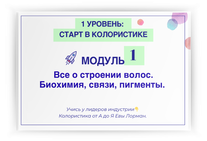 Профессиональный Авторский Мега Курс Колористики EXPERT Евы Лорман