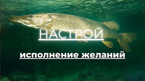 Настрой «Исполнение желаний»