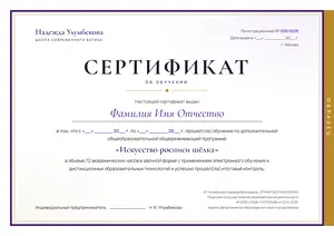 Образец сертификата об обучении школы Надежды Улумбековой