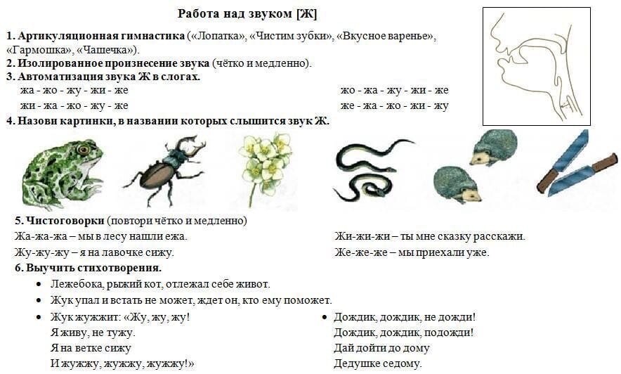 Технологическая карта звуковая культура речи старшая группа