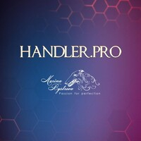 Школа хендлинга и шоу-груминга собак HANDLER.PRO 