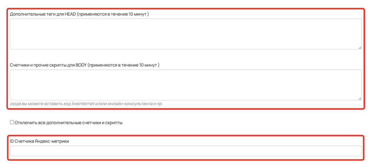 Поля для дополнительных тегов и скриптов