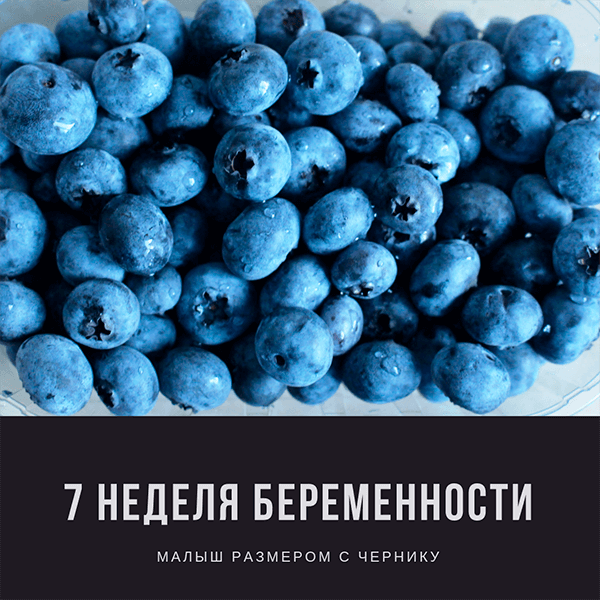 		<p>7 неделя беременности</p>	