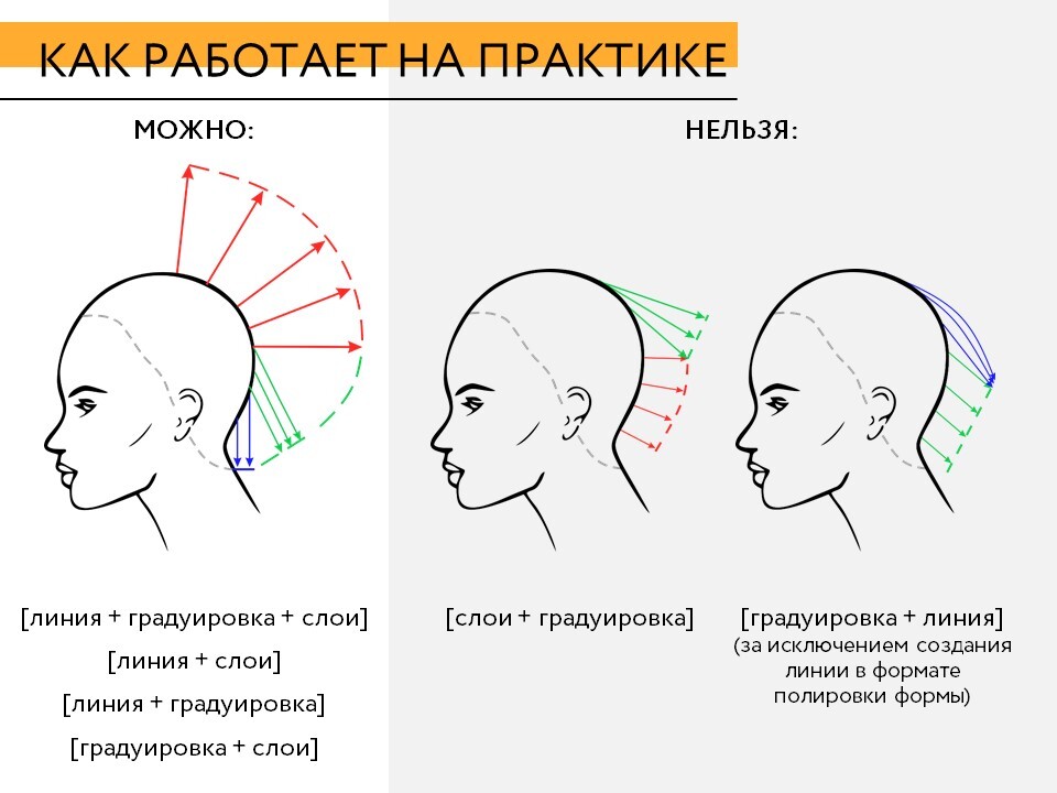 Базовые формы стрижек. Комбинированная форма стрижки. Комбинированная форма стрижки схема. Треугольная форма стрижки схема.