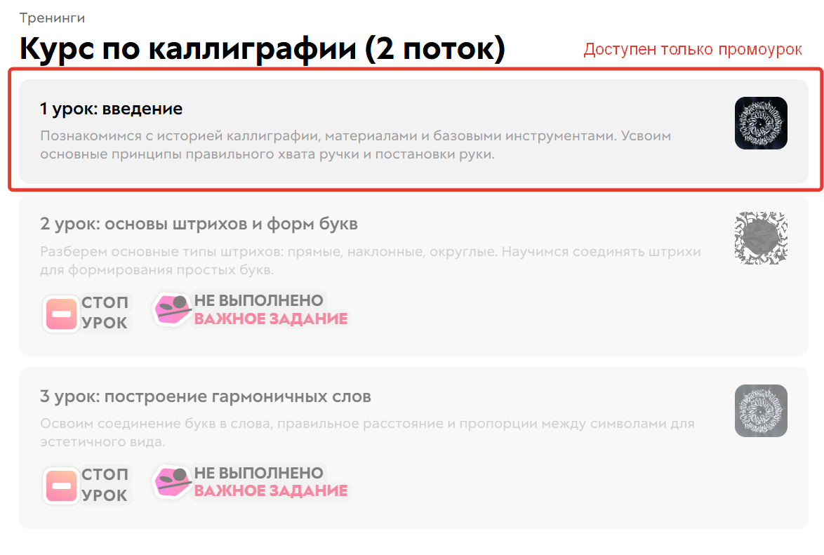 Доступен только промоурок, остальные уроки закрыты