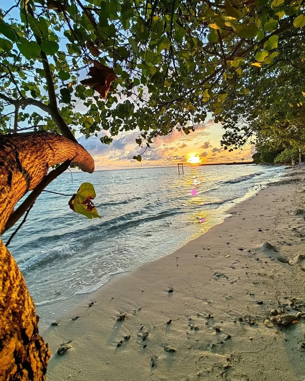 <p>Мальдивы</p>