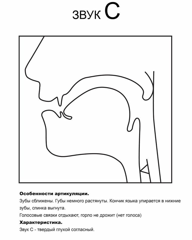 Артикуляционные профили звуков картинки