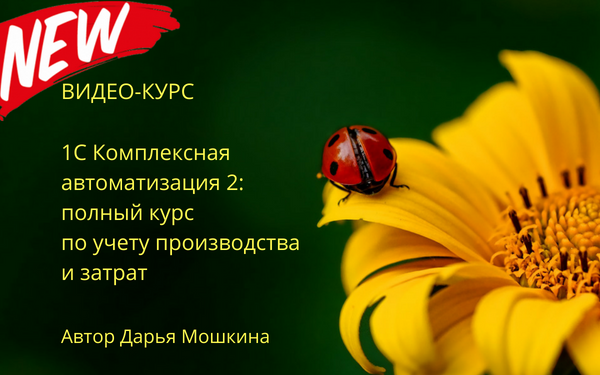 my.praktikaucheta.ru my.praktikaucheta.ru