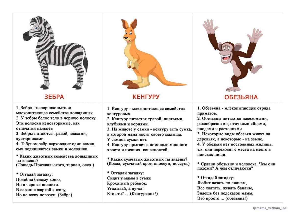 Интересные факты о животных . Блог Лого-Эксперт