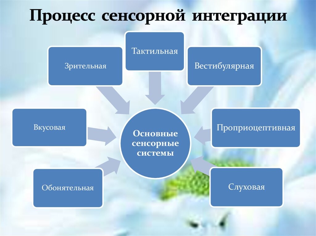 Сенсорная интеграция. Блог Лого Портал