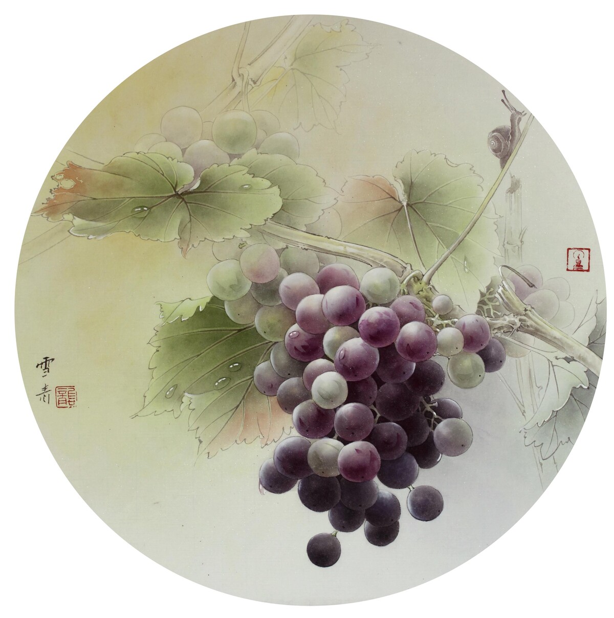 Гунби виноград постадийки
