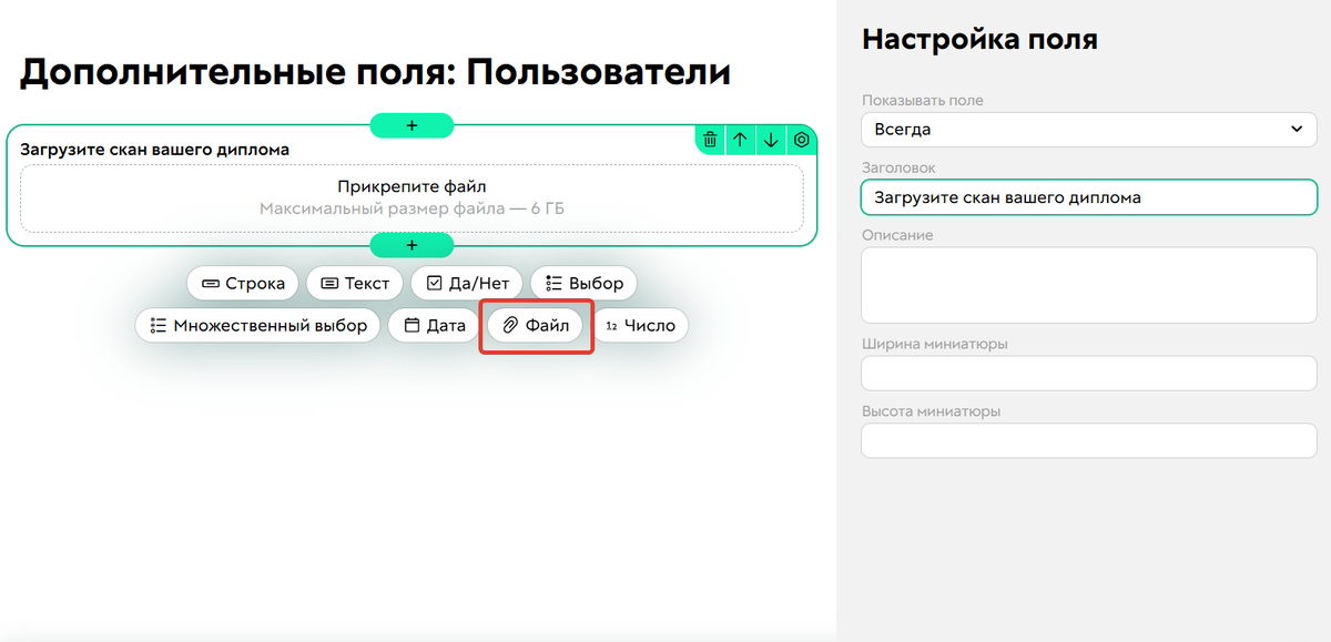 Дополнительное поле типа «Файл»