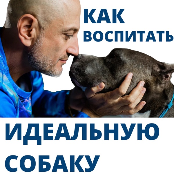 Мастер-Класс: Как воспитать идеальную собаку