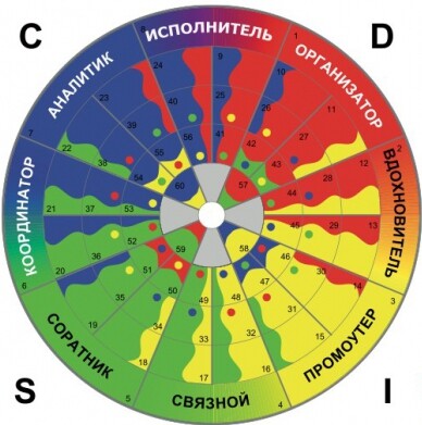 Ролевое колесо TTISI: Success Insights weel