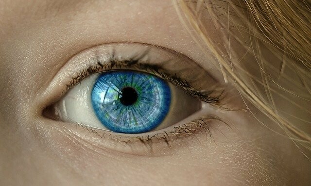 
		
		
		
		
		
		
																						<p><i>Наше зрение тесно связано с работой головного мозга</i></p>																	