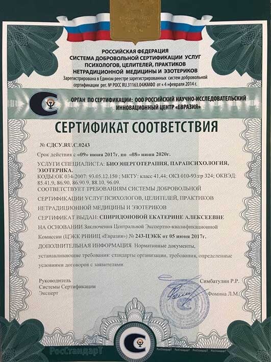 Сертификат Екатерины Спиридоновой 1