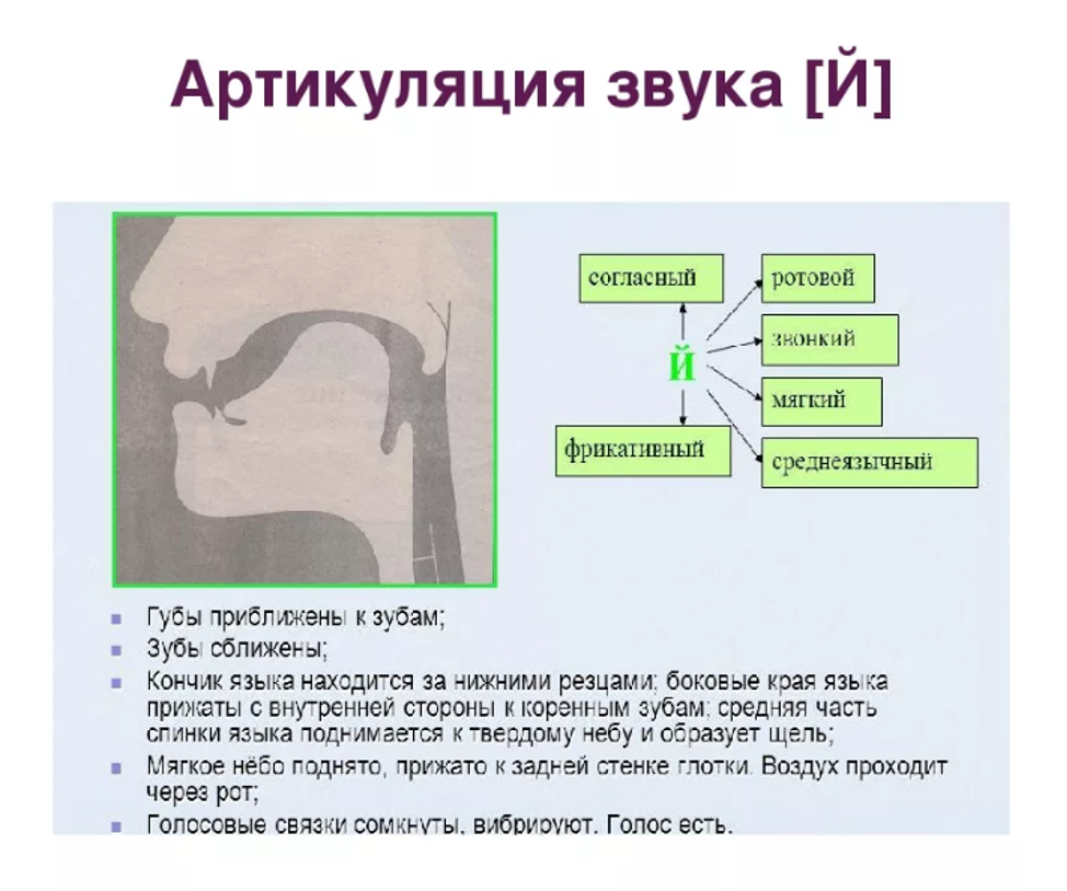 Артикуляция звука речи