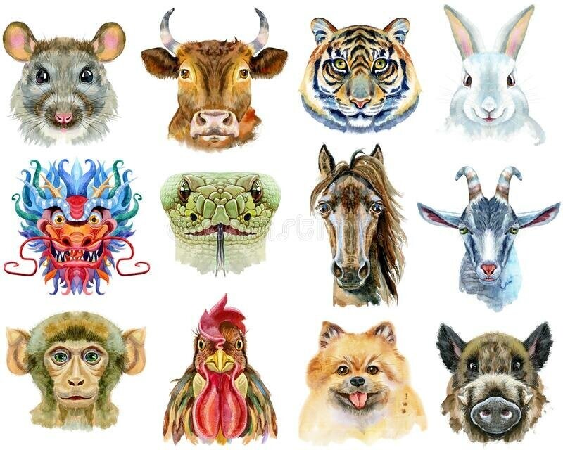 12 животных китайского зодиака