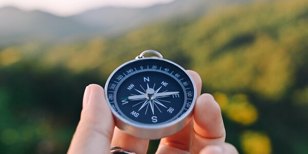openfield.ru